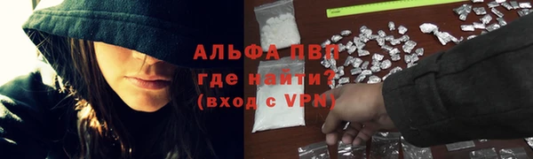 PSILOCYBIN Балабаново