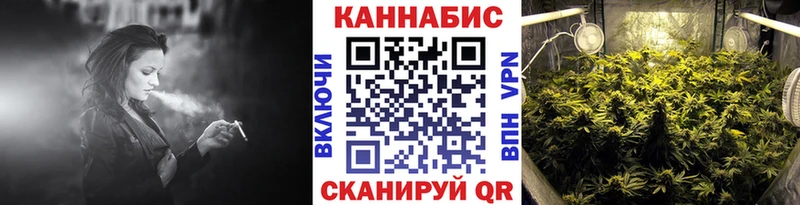 Купить закладки  Себеж  Бошки марихуана план 